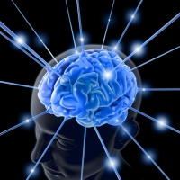 What Are Nootropic Supplements ?